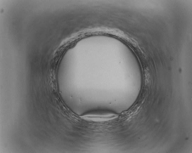 X0000073711494200608311741