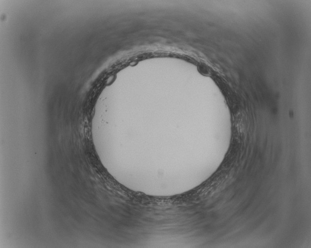 X0000073711495200608311741