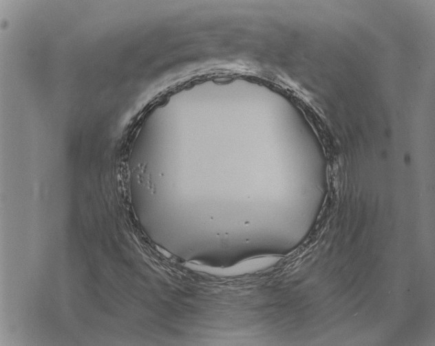 X0000073711496200608311741