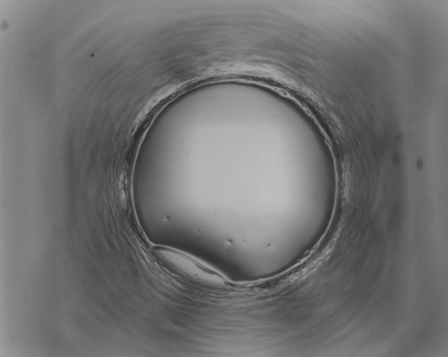 X0000073711497200608311741