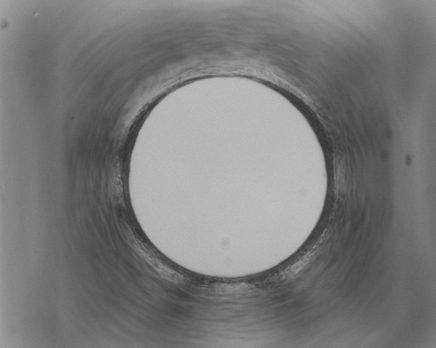 X0000073711498200608311741