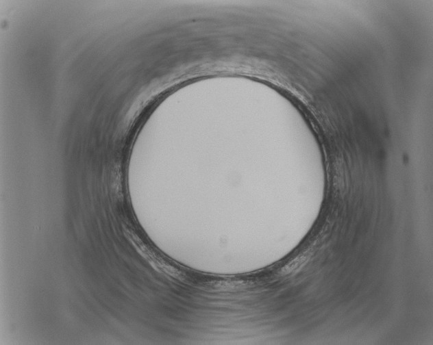 X0000073711499200608311741