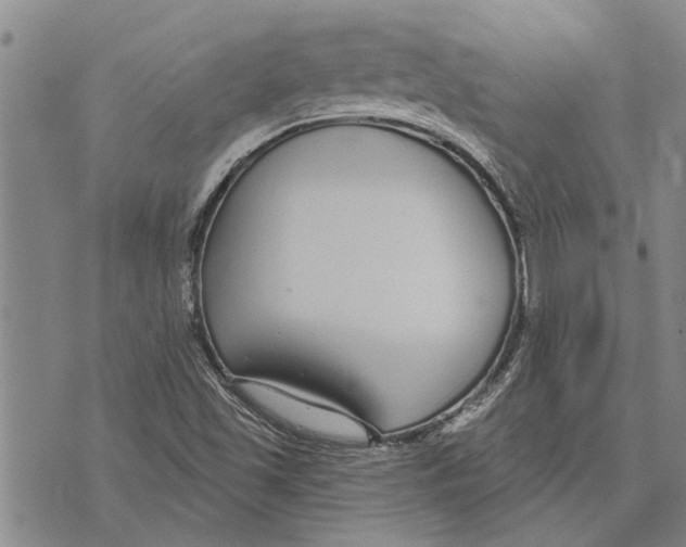 X0000073711501200608311741