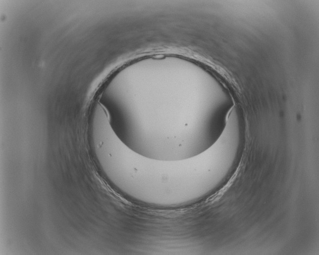 X0000073711502200608311741