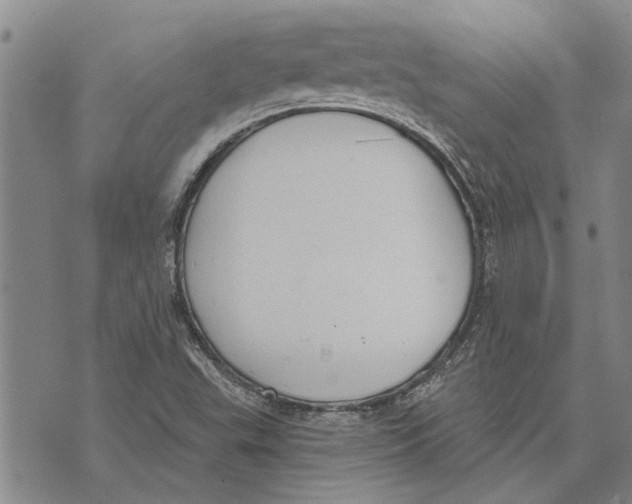 X0000073711503200608311741