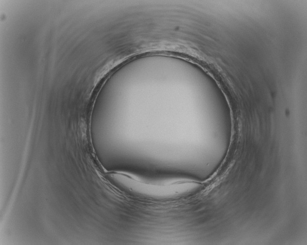 X0000073711505200608311741