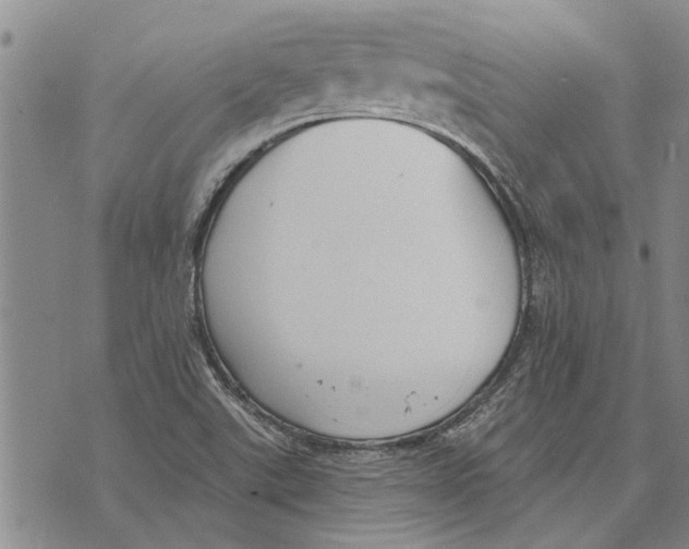 X0000073711507200608311741