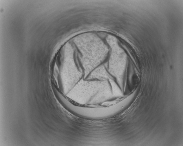 X0000073711508200608311741