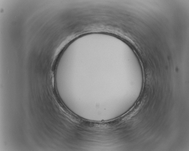 X0000073711509200608311742