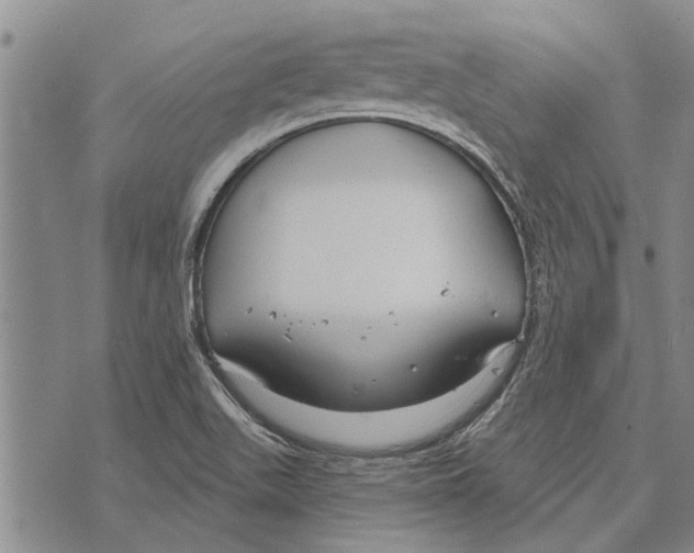 X0000073711511200608311742