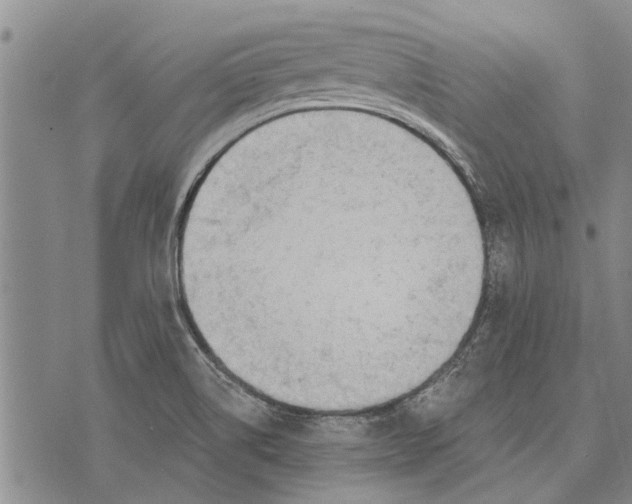 X0000073711514200608311742