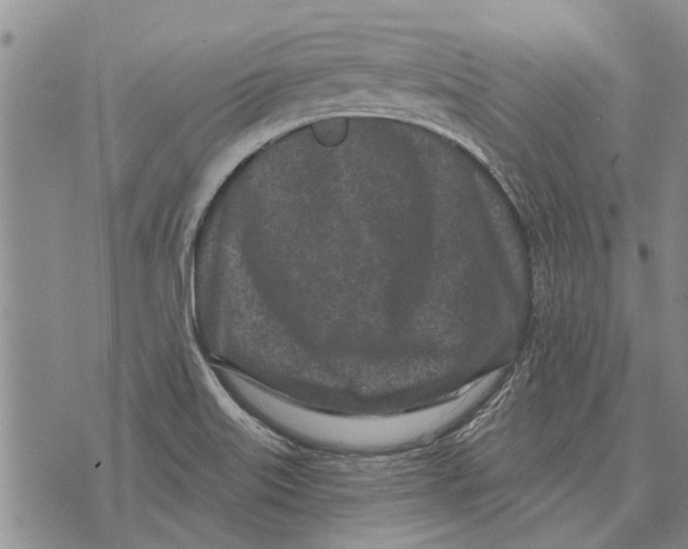 X0000073711515200608311742