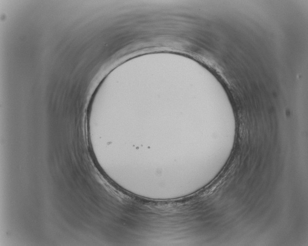 X0000073711516200608311742