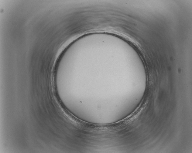 X0000073711517200608311742