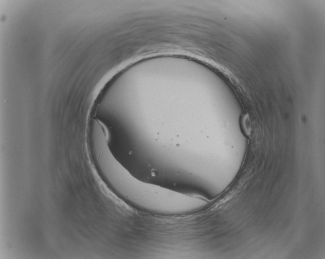 X0000073711518200608311742