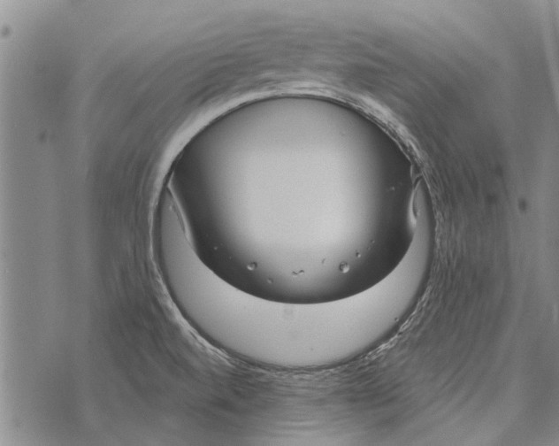 X0000073711520200608311742