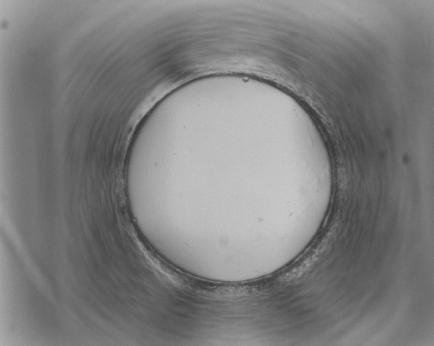 X0000073711521200608311742