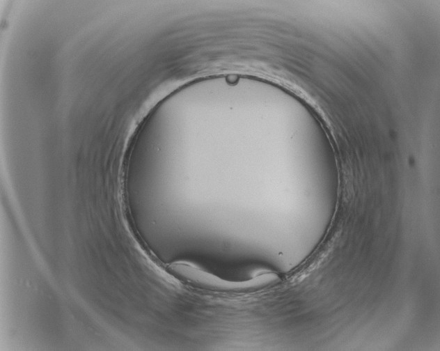 X0000073711525200608311742