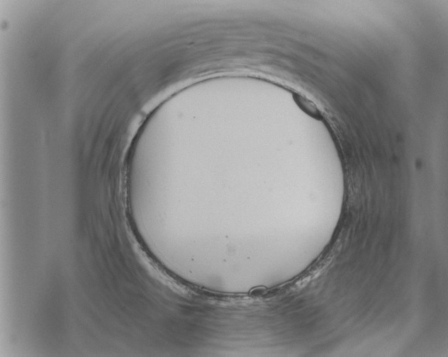 X0000073711526200608311742