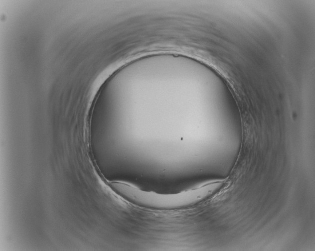 X0000073711527200608311742