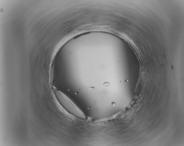 X0000073711528200608311742