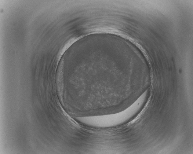 X0000073711529200608311742