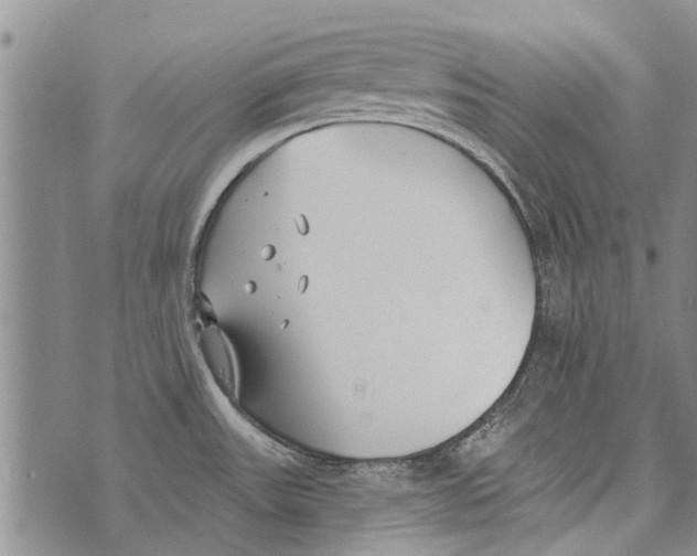 X0000073711531200608311742