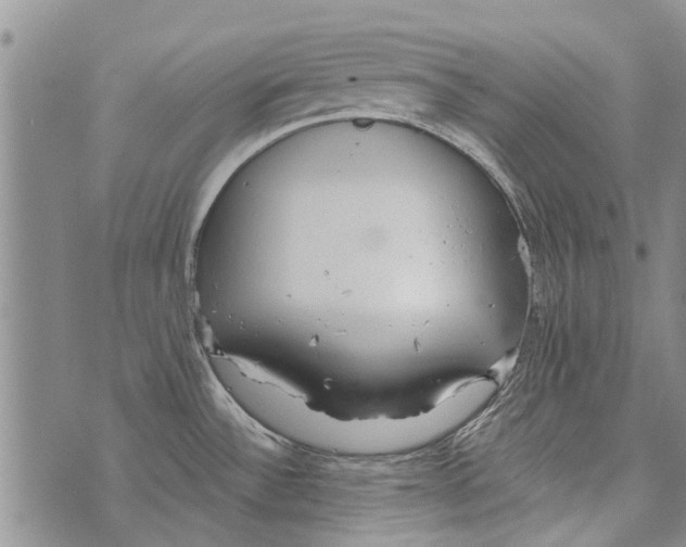 X0000073711532200608311742