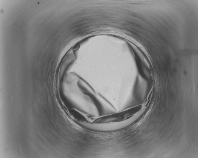 X0000073711533200608311742