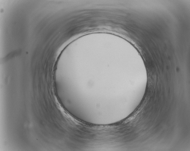 X0000073711534200608311742