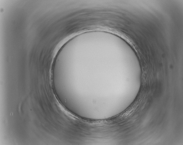 X0000073711535200608311742