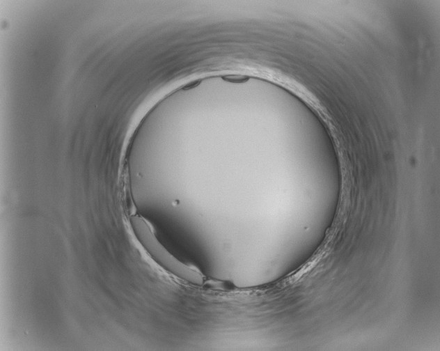 X0000073711536200608311742