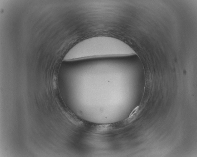 X0000073720090200608031026