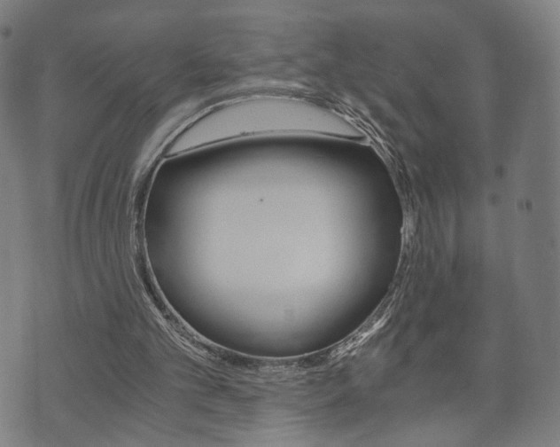 X0000073720101200608031025