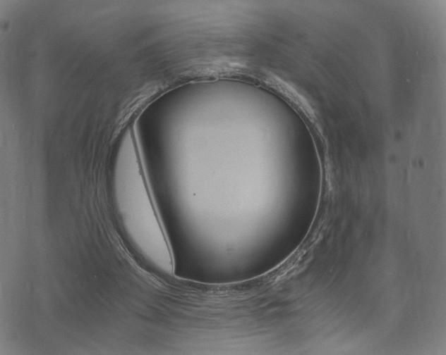 X0000073720105200608031025