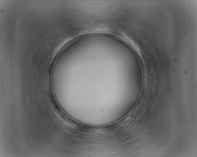 X0000073720107200608031025