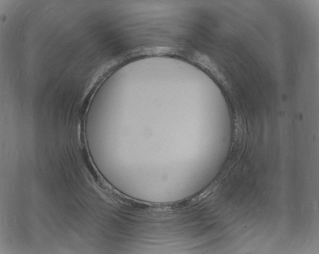 X0000073720110200608031025