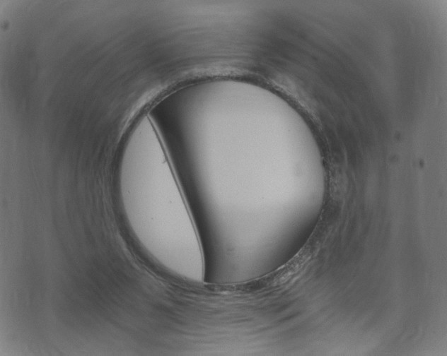 X0000073720111200608031025