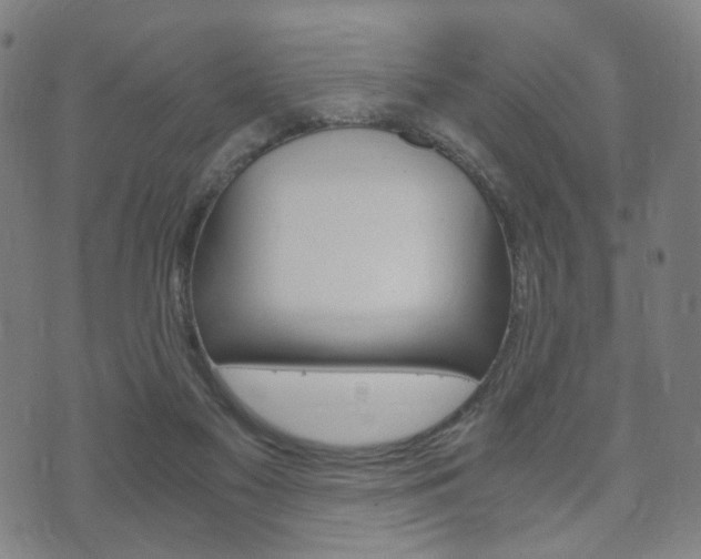 X0000073720117200608031025