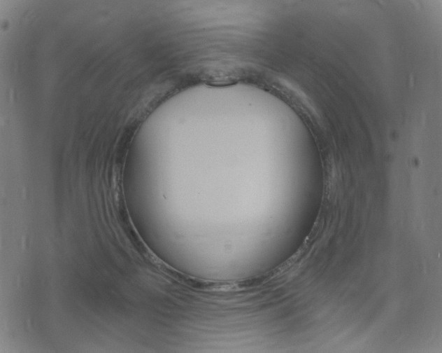 X0000073720121200608031025
