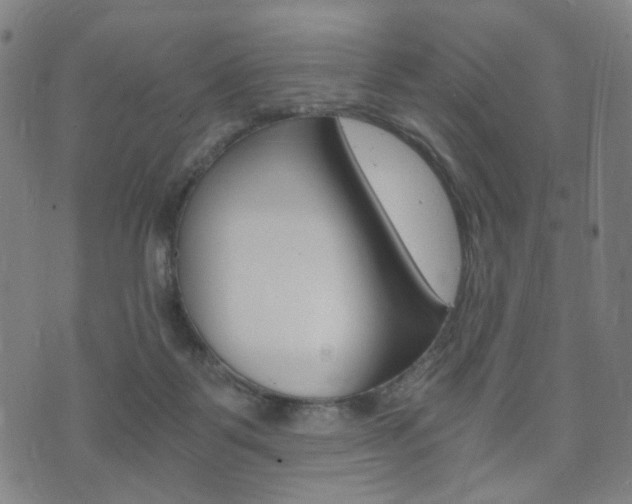 X0000073720123200608031025