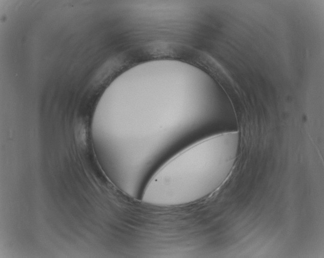 X0000073720124200608031025