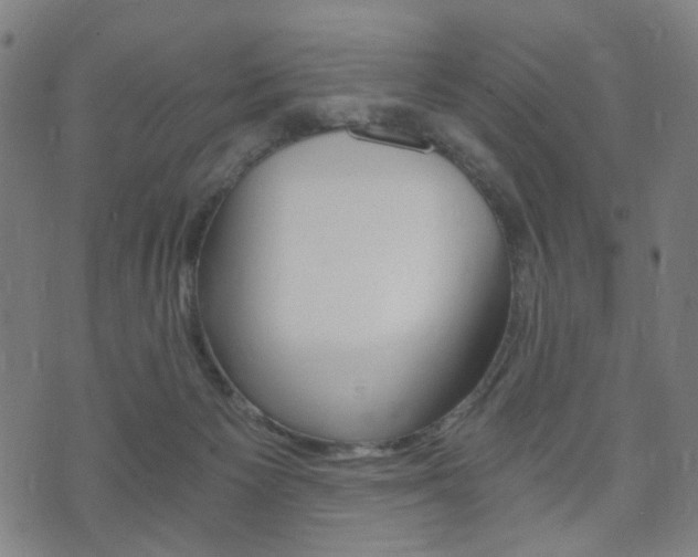 X0000073720125200608031025
