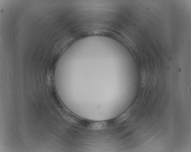 X0000073720126200608031025