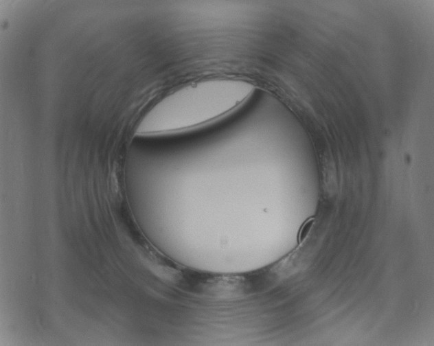 X0000073720128200608031025
