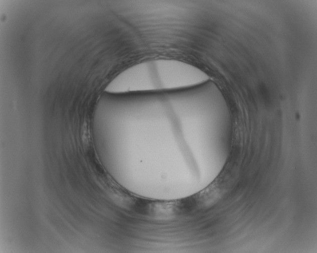 X0000073720134200608031025