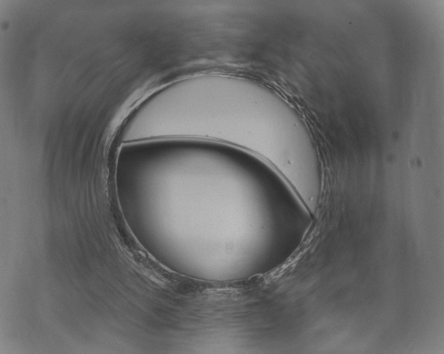 X0000073720150200608031024