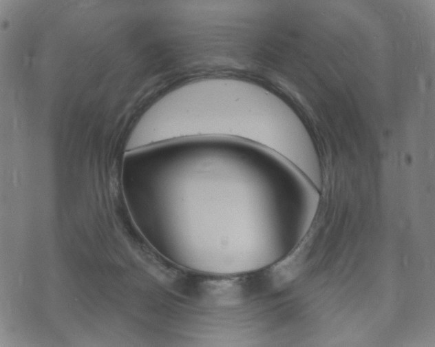X0000073720170200608031024