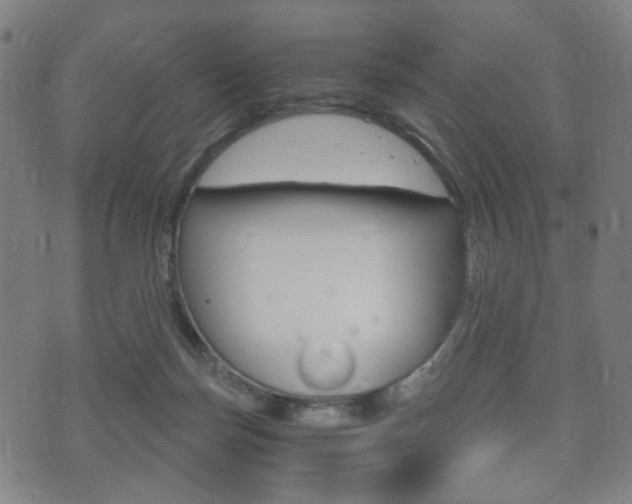 X0000073720171200608031024