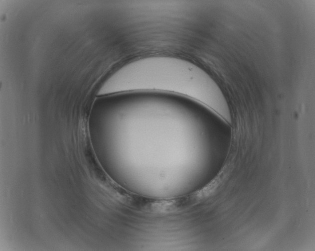 X0000073720172200608031024